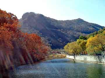 澳门天天免费精准大全，常山seo建站